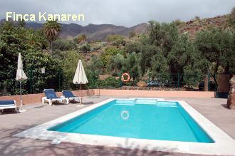 Ferienhaus El Palmeral del Valle - Gran Canaria - Santa Luca - Der Pool im Garten