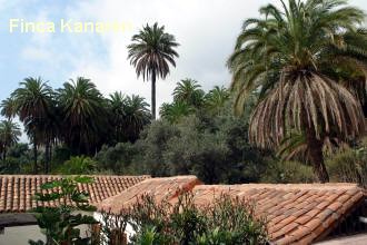Ferienhaus El Palmeral del Valle - Gran Canaria - Santa Luca - Der Palmenhain