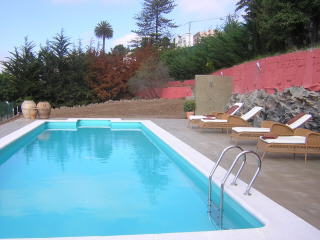 Gran Canaria Ferienhaeuser Finca San Jose. Der Pool
