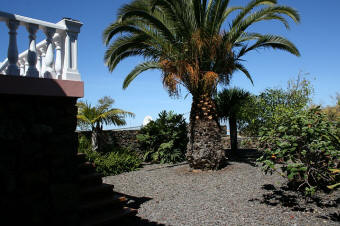 La Palma West - El Paso - Ferienhaus Casa Olga - Garten